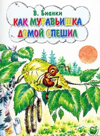 Обложка книги Как муравьишка домой спешил, В. Бианки