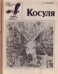 Обложка книги Косуля, Тимофеева Елена Константиновна