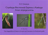 Обложка книги Стрекозы Восточной Европы и Кавказа. Атлас-определитель / The Dragonflies of Eastern Europe and Caucasus: An Illustrated Guide, В. Э. Скворцов