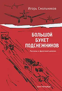 Обложка книги Большой букет подснежников, Игорь Смольников