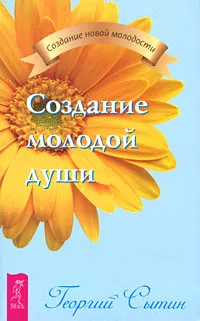 Обложка книги Создание молодой души, Георгий Сытин