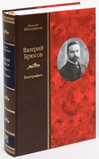 Обложка книги Валерий Брюсов. Биография (подарочное издание), Василий Молодяков