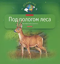 Обложка книги Под пологом леса. Моя первая книга о животных, А. В. Тихонов