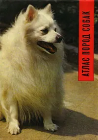 Обложка книги Атлас пород собак, Й. Найман, Й. Новотны