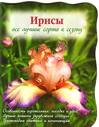 Обложка книги Ирисы. Все лучшие сорта к сезону, Токарева Е.А.