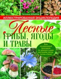 Обложка книги Лесные грибы, ягоды и травы, Ильина Т.А.