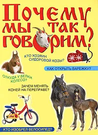 Обложка книги Почему мы так говорим?, В. М. Мокиенко