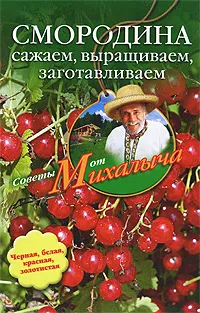 Обложка книги Смородина. Сажаем, выращиваем, заготавливаем, Звонарев Николай Михайлович