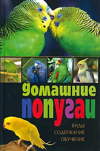 Обложка книги Домашние попугаи. Виды, содержание, обучение, Казакова Валентина Николаевна