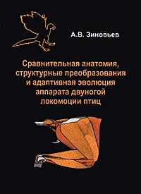 Обложка книги Сравнительная анатомия, структурные преобразования и адаптивная эволюция аппарата двуногой локомоции птиц, А. В. Зиновьев
