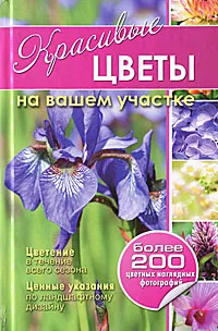 Обложка книги Красивые цветы на вашем участке, Р. А. Карписонова, Т. С. Русинова, Л. П. Вавилова