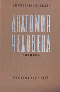 Обложка книги Анатомия человека. Атлас, М. М. Курепина, Г. Г. Воккен
