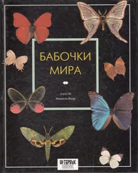 Обложка книги Бабочки мира, Ален Эд, Мишель Виар