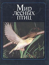 Обложка книги Мир лесных птиц, Штейнбах Михаил В.