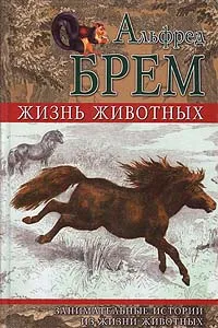 Обложка книги Жизнь животных. Занимательные истории из жизни животных, Альфред Брем