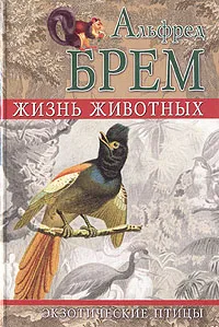 Обложка книги Жизнь животных. Экзотические птицы, Альфред Брем