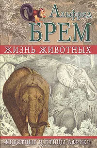 Обложка книги Жизнь животных. Животные и птицы Африки, Альфред Брем