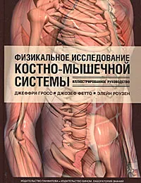 Обложка книги Физикальное исследование костно-мышечной системы. Иллюстрированное руководство, Джеффри Гросс, Джозеф Фетто, Элейн Роузен