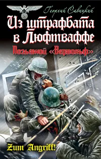 Обложка книги Из штрафбата в Люфтваффе. Позывной 