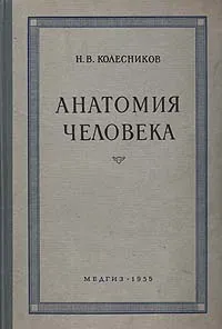 Обложка книги Анатомия человека, Н. В. Колесников