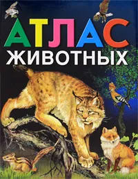 Обложка книги Атлас животных, Золотарева Юлия Евгеньевна, Школьник Юлия Константиновна