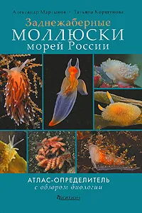 Обложка книги Заднежаберные моллюски морей России. Атлас-определитель с обзором биологии, Александр Мартынов, Татьяна Коршунова