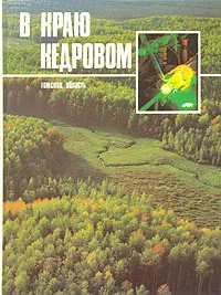 Обложка книги В краю кедровом. Томская область. Фотоальбом, Георгий Марков,Сергей Заплавный