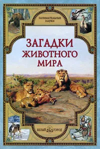 Обложка книги Загадки животного мира, Виктор Калашников, Светлана Лаврова