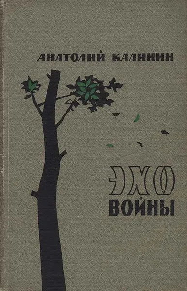 Обложка книги Эхо войны, Анатолий Калинин