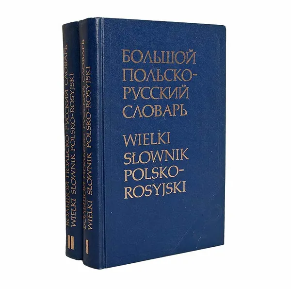 Обложка книги Большой польско-русский словарь (комплект из 2 книг), Д. Гессен, Р. Стыпула