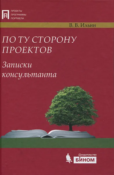 Обложка книги По ту сторону проектов. Записки консультанта, В. В. Ильин