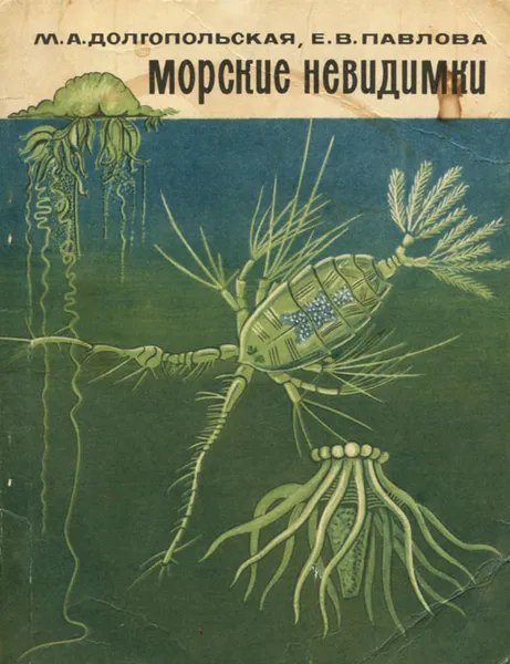 Обложка книги Морские невидимки, М. А. Долгопольская, Е. В. Павлова