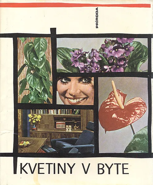 Обложка книги Kvetiny v Byte, 