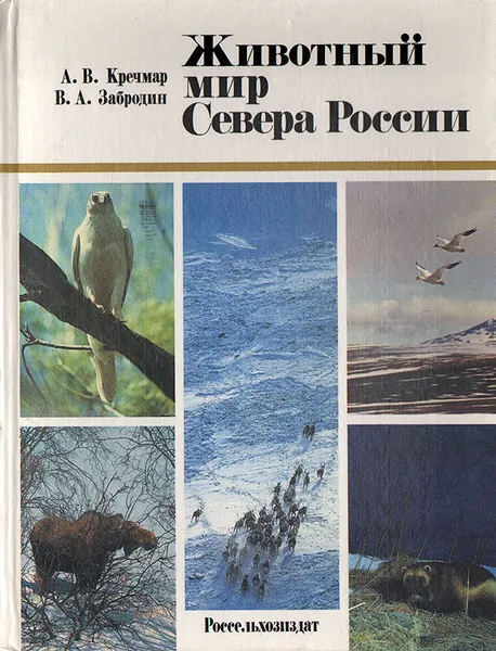 Обложка книги Животный мир Севера России, А. В. Кречмар, В. А. Забродин