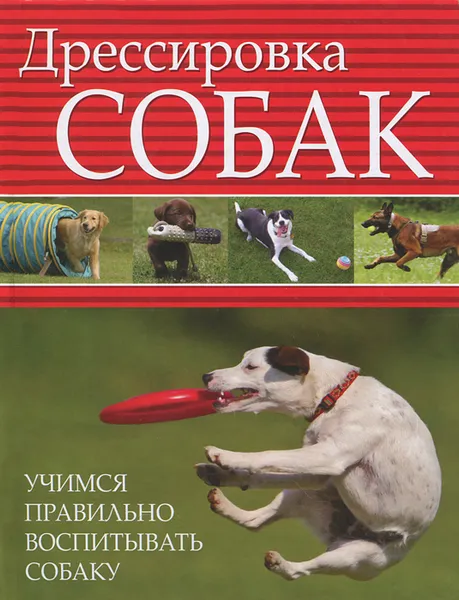 Обложка книги Дрессировка собак. Учимся правильно воспитывать собаку, Любовь Орлова