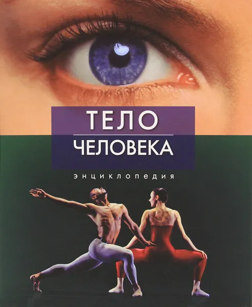 Обложка книги Тело человека. Энциклопедия, Беверли Мак-Миллан