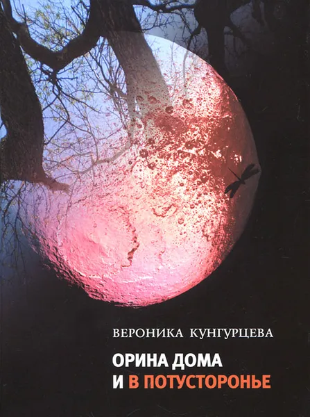 Обложка книги Орина дома и в Потусторонье, Вероника Кунгурцева