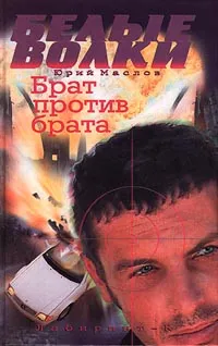 Обложка книги Брат против брата, Юрий Маслов