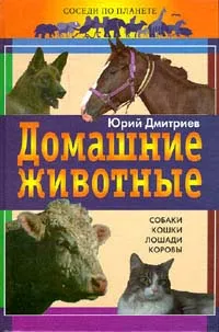 Обложка книги Домашние животные, Дмитриев Юрий