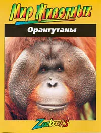 Обложка книги Орангутаны, 
