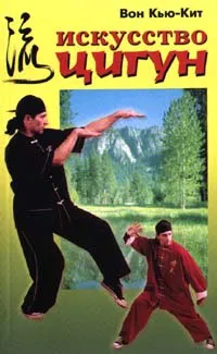Обложка книги Искусство цигун, Вон Кью - Кит