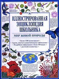 Обложка книги Иллюстрированная энциклопедия школьника. Мир живой природы, Авторский Коллектив, Автор не указан