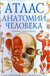 Обложка книги Атлас анатомии человека, Стив Паркер