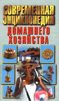 Обложка книги Современная энциклопедия домашнего хозяйства, Н. М. Волчек