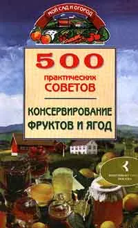 Обложка книги 500 практических советов. Консервирование фруктов и ягод, Лябик О. Ю.