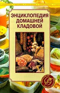 Обложка книги Энциклопедия домашней кладовой, Е. Беляева