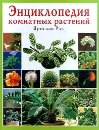 Обложка книги Энциклопедия комнатных растений, Ярослав Рак