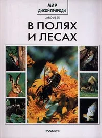 Обложка книги В полях и лесах, де Верикур Гийомет