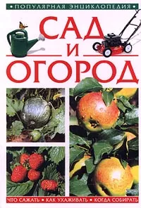 Обложка книги Сад и огород, Валентина Егорова