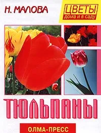 Обложка книги Тюльпаны, Н. Малова